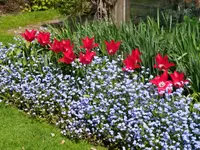 IMG_20230430_131422.webp
