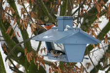 IMG_4278.jpg