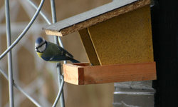 IMG_5920.jpg