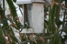 Jan.0213.webp