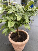 IMG_5791.jpeg