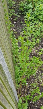 1_photo_2023-05-01_13-38-37.jpg