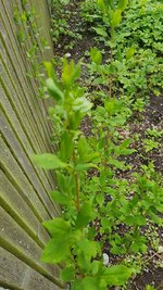 1_photo_2023-05-01_13-38-48.jpg