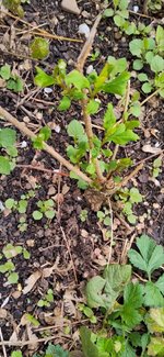 2_photo_2023-05-01_12-23-16.jpg
