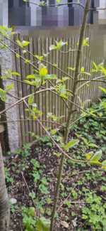 4_photo_2023-05-01_12-23-29_verpixelt.png