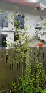 4_photo_2023-05-01_16-11-28_verpixelt.webp