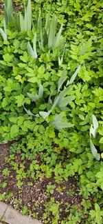 7_photo_2023-05-01_12-23-44.jpg