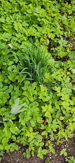7_photo_2023-05-01_12-23-46.jpg