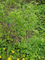 9_photo_2023-05-01_13-52-37.jpg