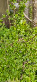 11_photo_2023-05-01_12-23-55.jpg
