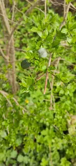 11_photo_2023-05-01_12-23-58.webp