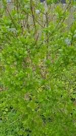 11_photo_2023-05-01_13-52-31.webp