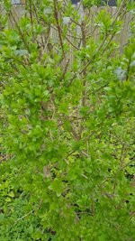 11_photo_2023-05-01_13-52-31.jpg