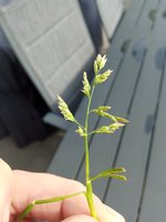 IMG_20230501_174810.jpg