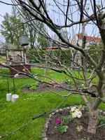 20230501_155713.webp