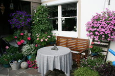 Terasse       5622.JPG