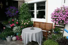 Terasse       5622.webp