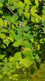 2023-05-02T14_55_19+02_00.webp