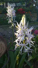 20230502_194434.webp