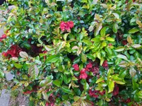 IMG_20230501_152316.webp