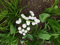 IMG_20230501_143327.jpg