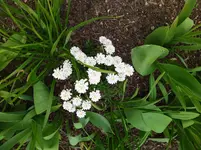 IMG_20230501_143327.webp