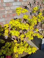 20230503_173102.webp