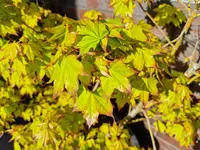 20230503_173116.webp