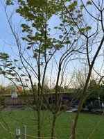 IMG_2484.jpeg
