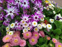 IMG_20220516_155239_1.webp