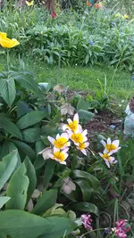 20230504_191622.webp