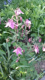 20230504_191607.webp