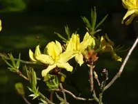 B8B3617C-C8F7-47D2-8A53-47E0950A26FD.webp