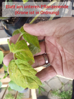 Polish_20230505_134849458.webp