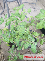 Polish_20230505_134501550.webp