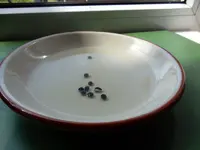 DSCN4719.webp