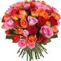 1683303405106.webp