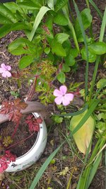 20230506_124533.jpg