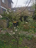 IMG_20230423_161155.webp