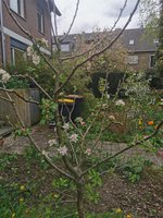 IMG_20230423_161155.jpg