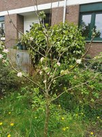 IMG_20230423_161143.jpg