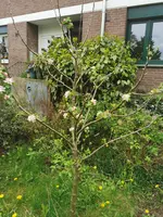 IMG_20230423_161143.webp