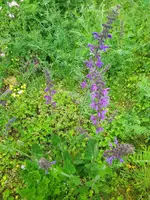IMG_20230507_095053.webp