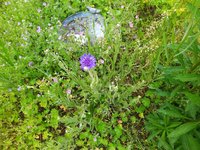 IMG_20230507_095026.jpg