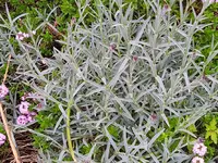IMG_20230507_095321.webp