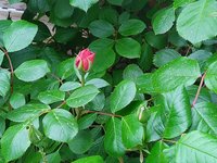 IMG_20230507_095401.jpg