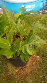 20220519_205343.jpg