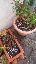 20220519_205226.jpg