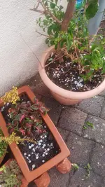 20220519_205226.webp