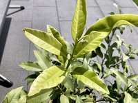 IMG_5819.jpeg